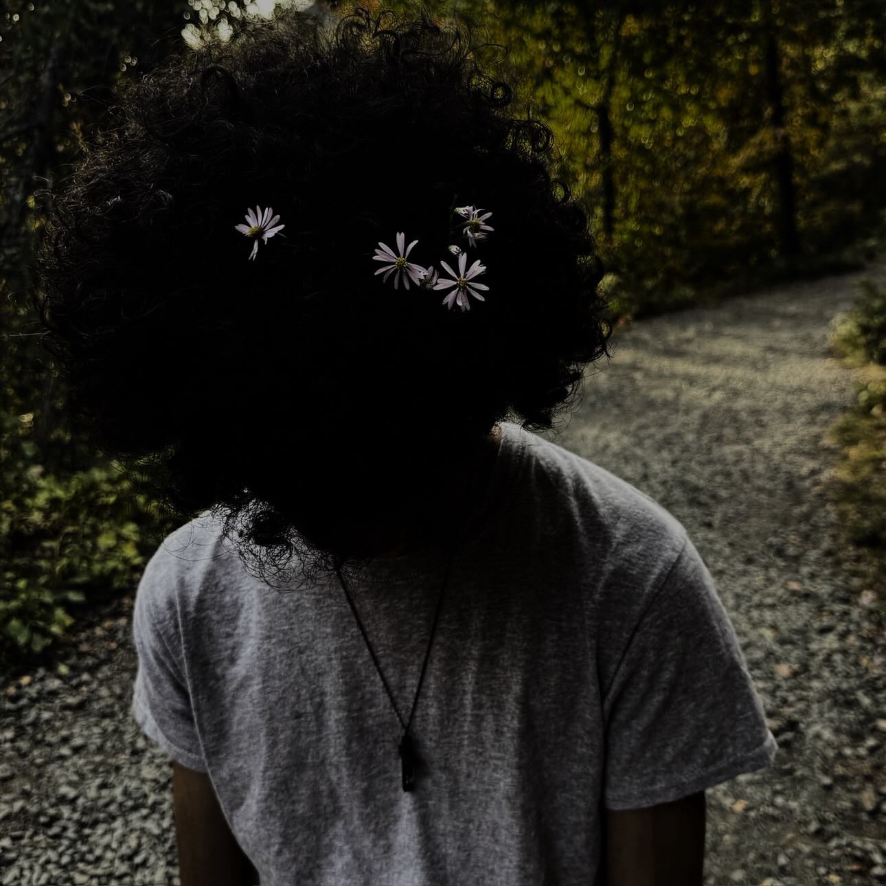 He’s Taking His Music Career To The Next Level!