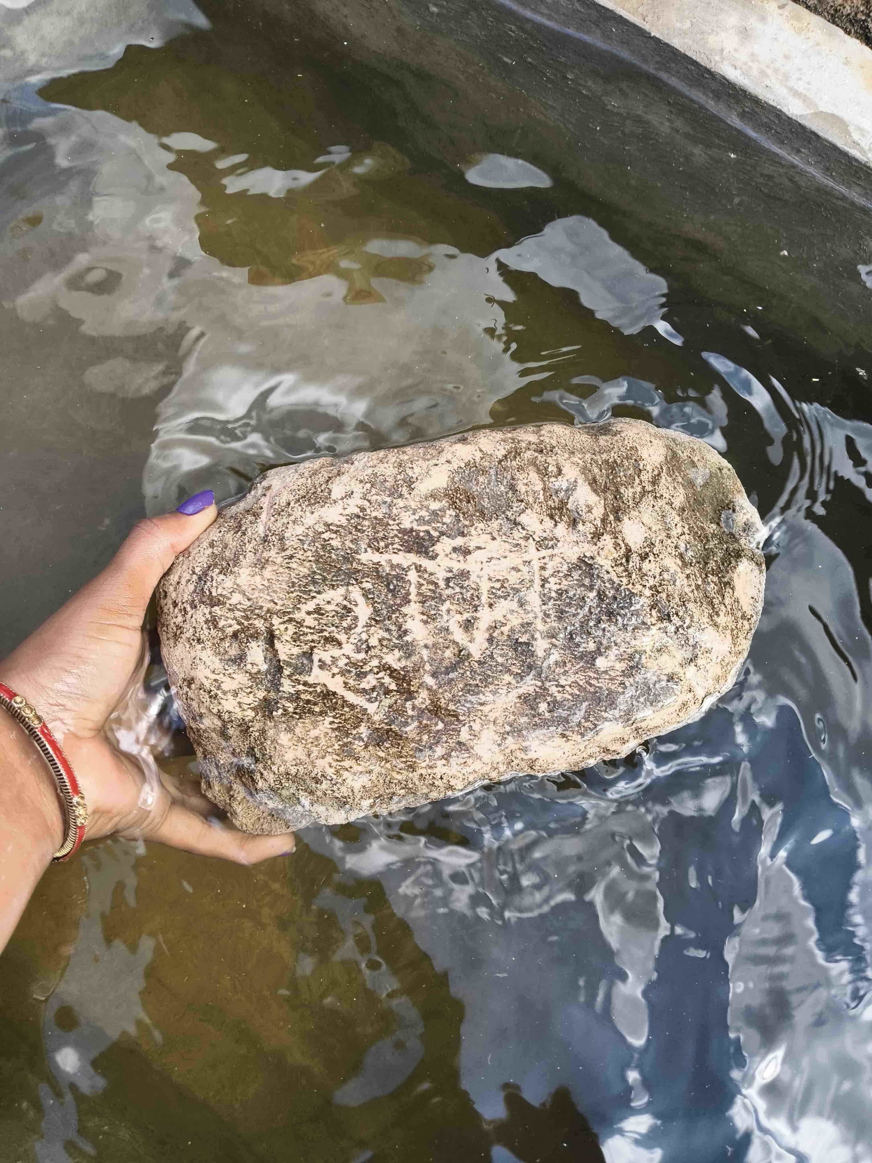 ??????? ?? ????? ???? ????? ???????? ?? ???? ??? ?? ???????? ????? ??? ?????