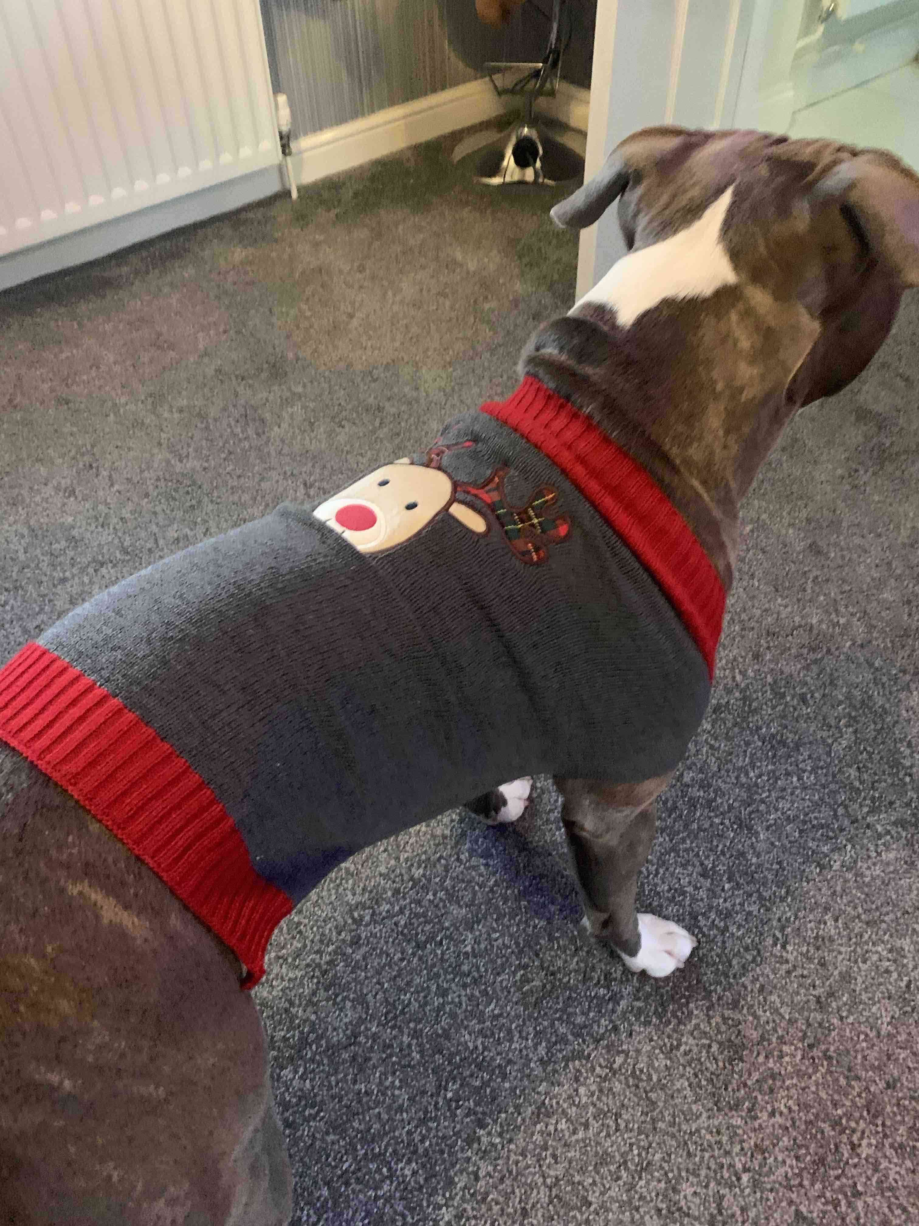 owners jumper